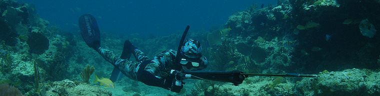 клуб подводной охоты нерпа